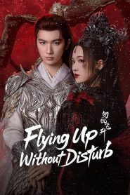 Flying Up Without Disturb (2025)